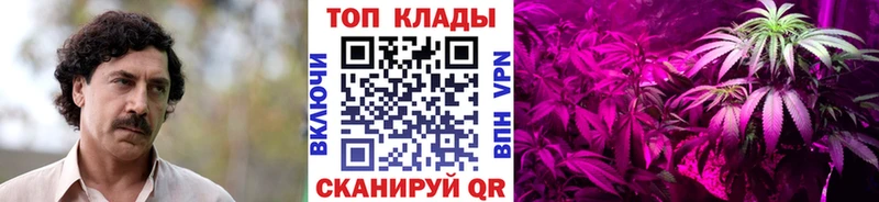 Где продают наркотики Светогорск Гашиш  Канабис  А ПВП  Меф мяу мяу  КОКАИН 