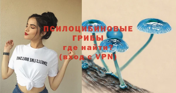 дурь Бронницы