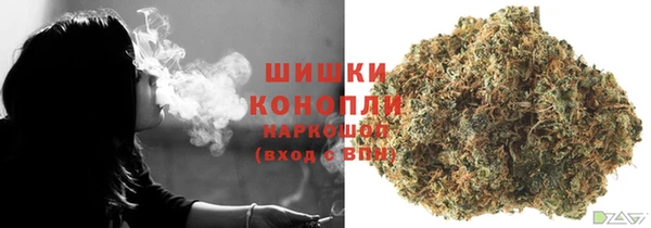 дурь Бронницы