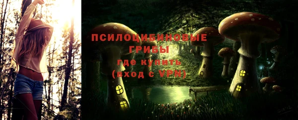 дурь Верея