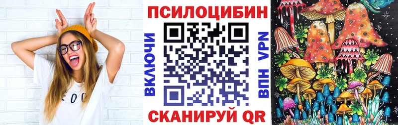 Псилоцибиновые грибы мицелий  Светогорск 